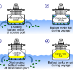 Ballasts : le grand bouillon de culture